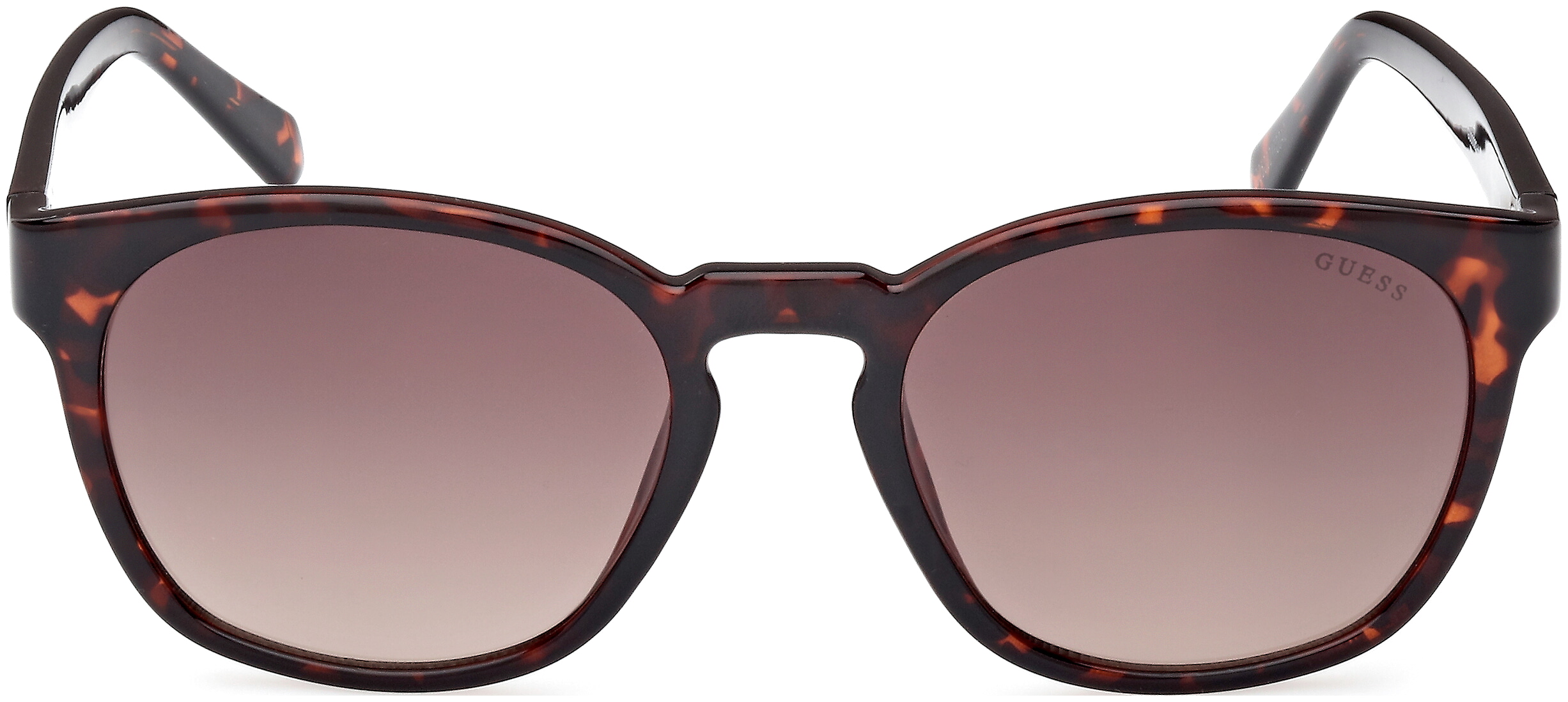 GU00083-H SUNČANE NAOČALE GUESS