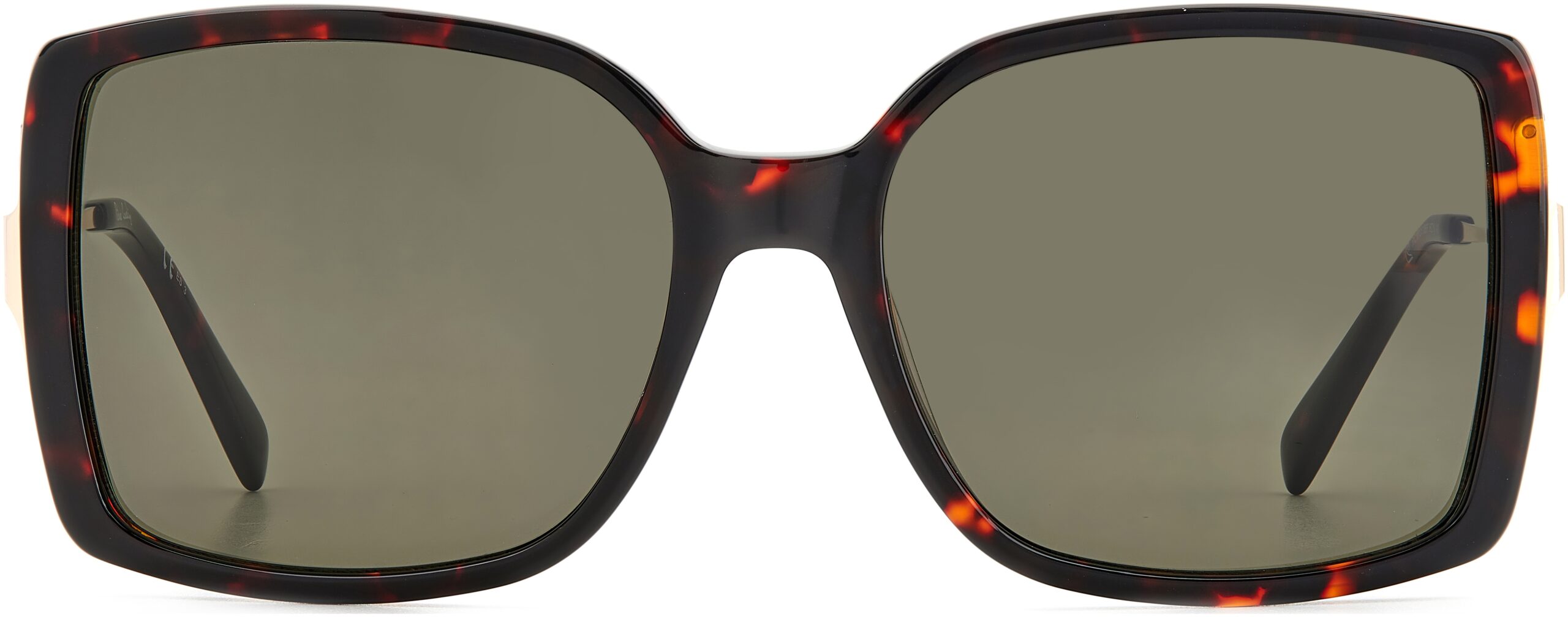 P.C.8512/S SUNČANE NAOČALE PIERRE CARDIN