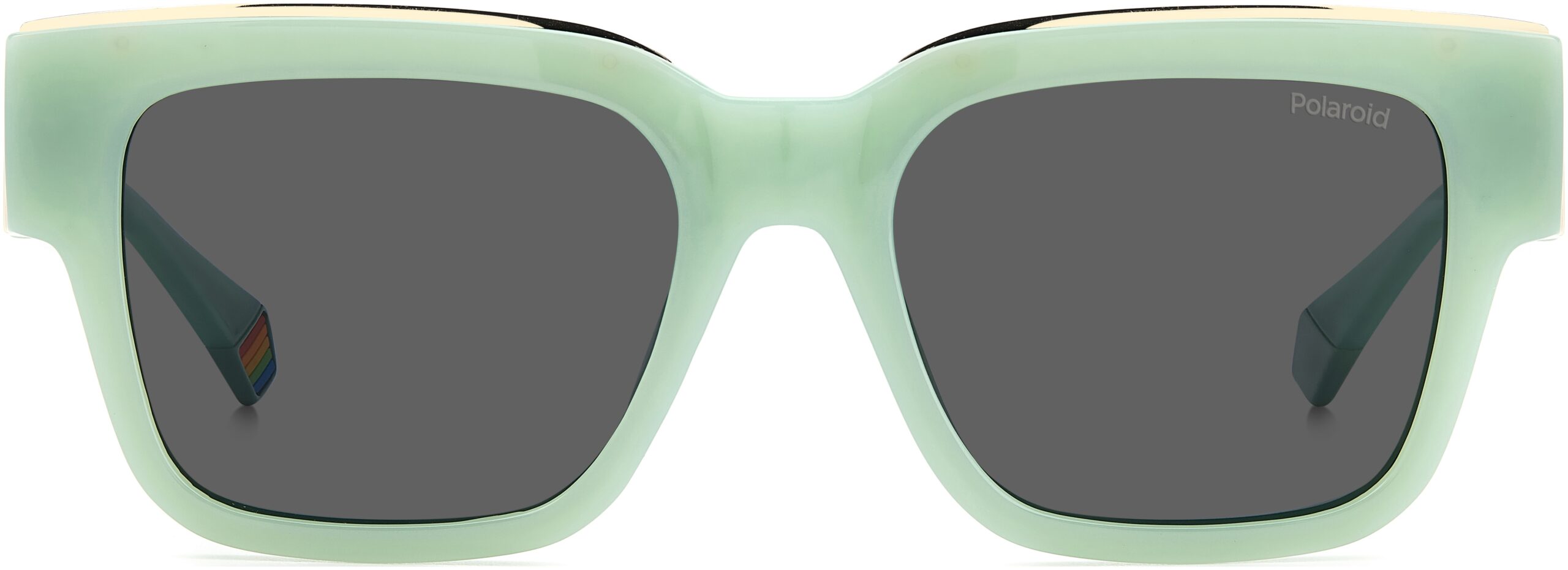 PLD6198/S/X POLARIZIRANE SUNČANE NAOČALE POLAROID