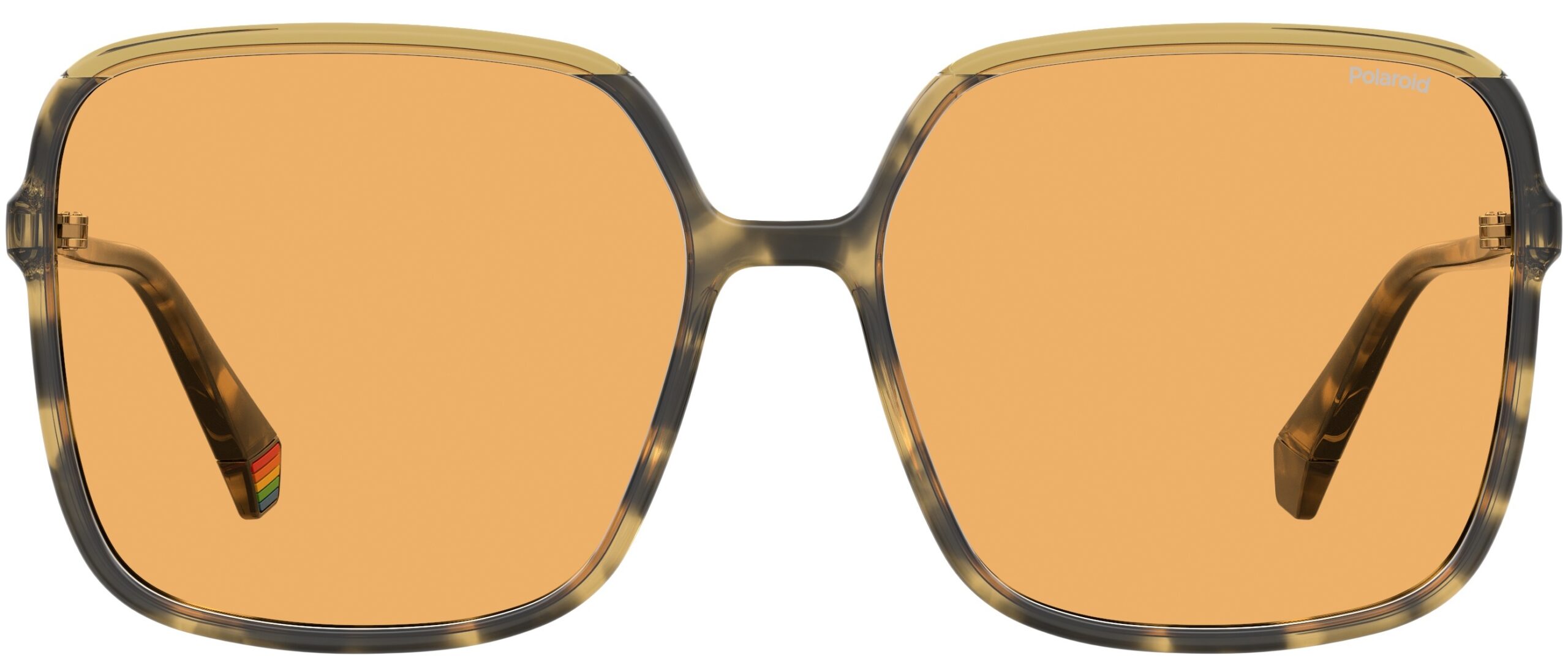 PLD6128/S POLARIZIRANE SUNČANE NAOČALE POLAROID