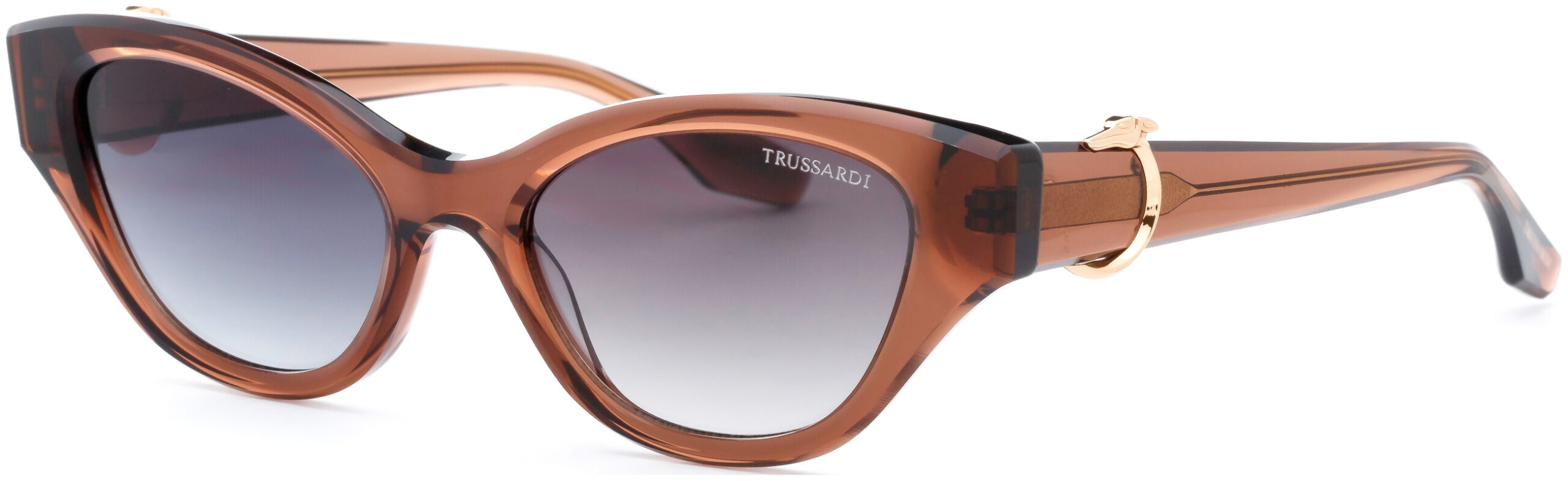 TSW9021 GRADIJENT SUNČANE NAOČALE TRUSSARDI - Slika 2