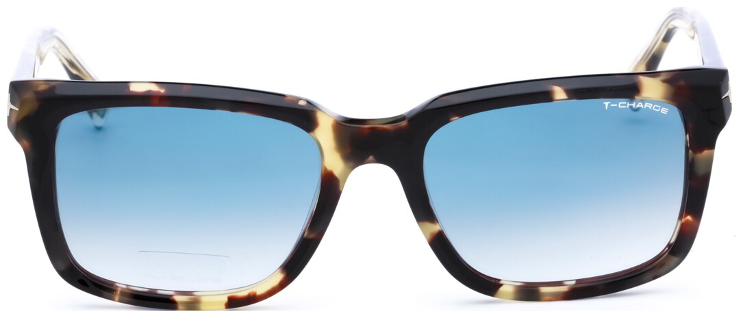 T9183 POLARIZIRANE SUNČANE NAOČALE T-CHARGE