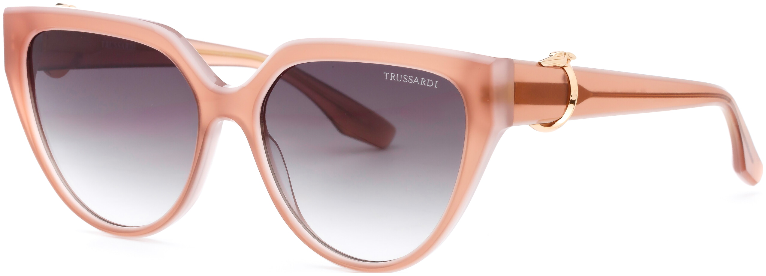 TSW9022 GRADIJENT SUNČANE NAOČALE TRUSSARDI - Slika 2