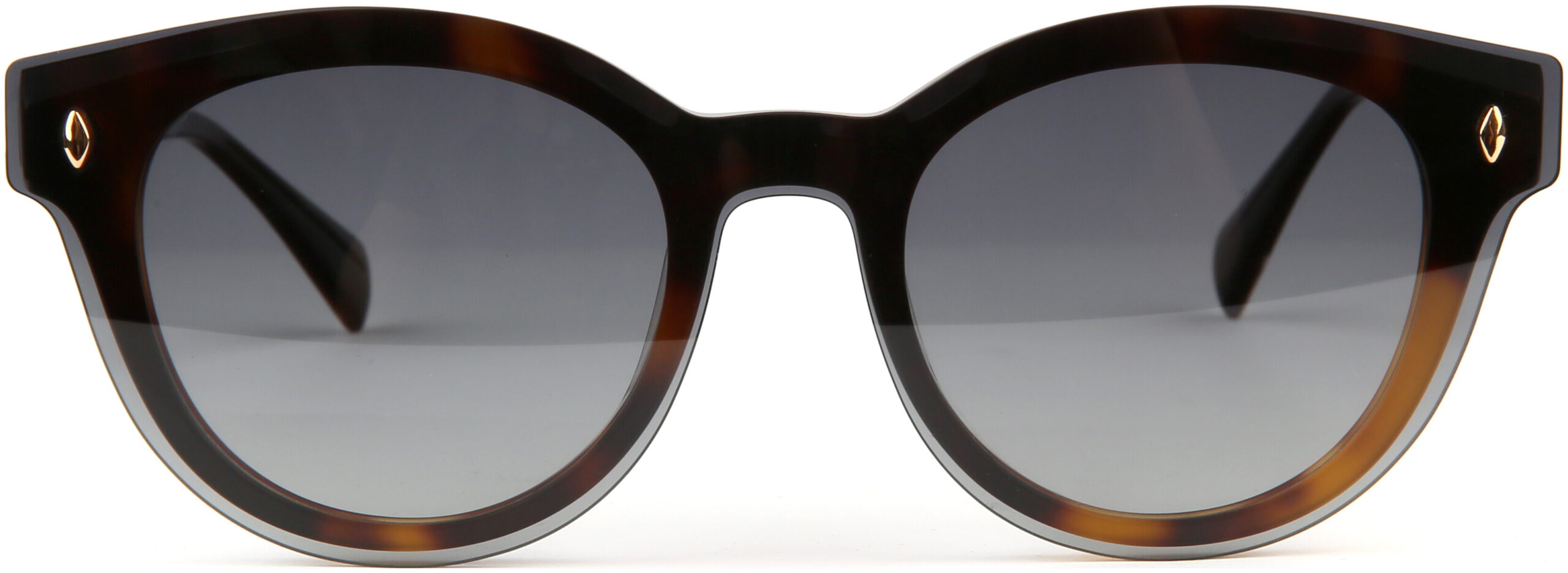 CLIPON GRADIJENT SUNČANE NAOČALE BULGET BG6561G