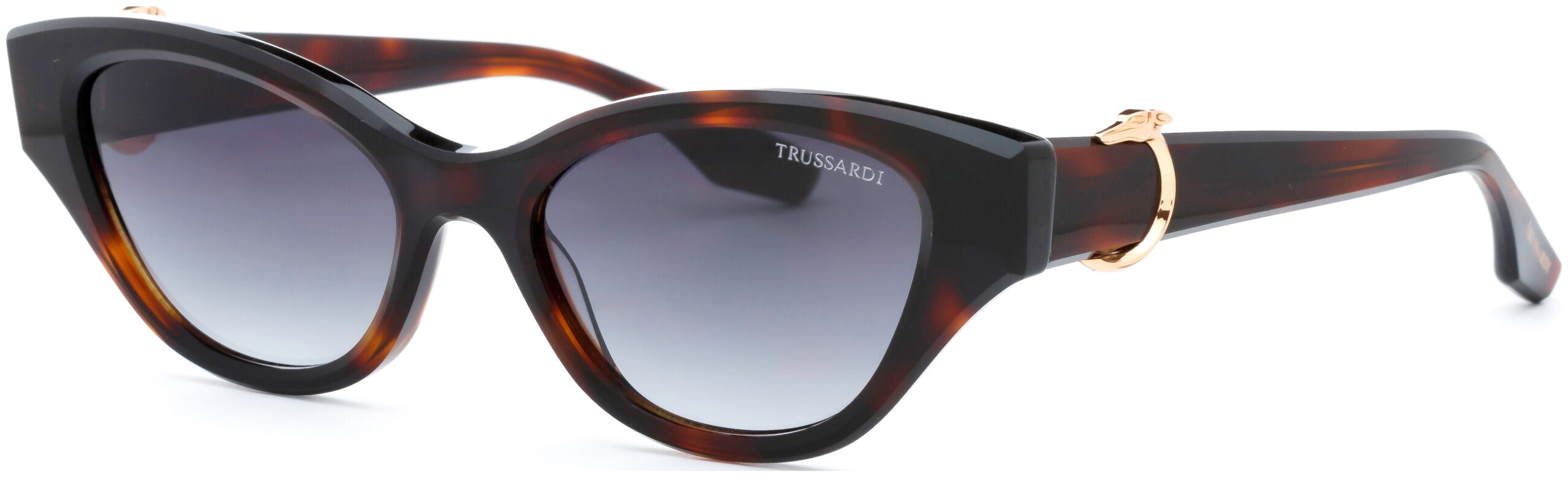 TSW9021 GRADIJENT SUNČANE NAOČALE TRUSSARDI - Slika 2