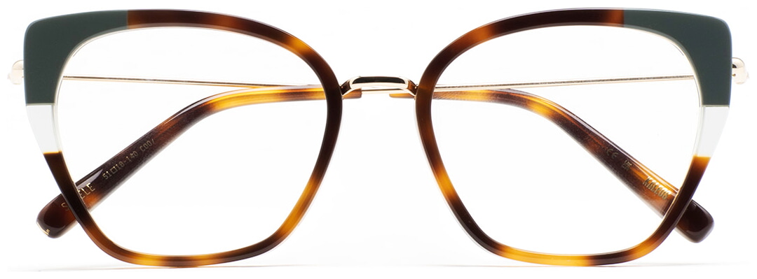 KALEOSSTEELE7 DIOPTRIJSKI OKVIR KALEOS