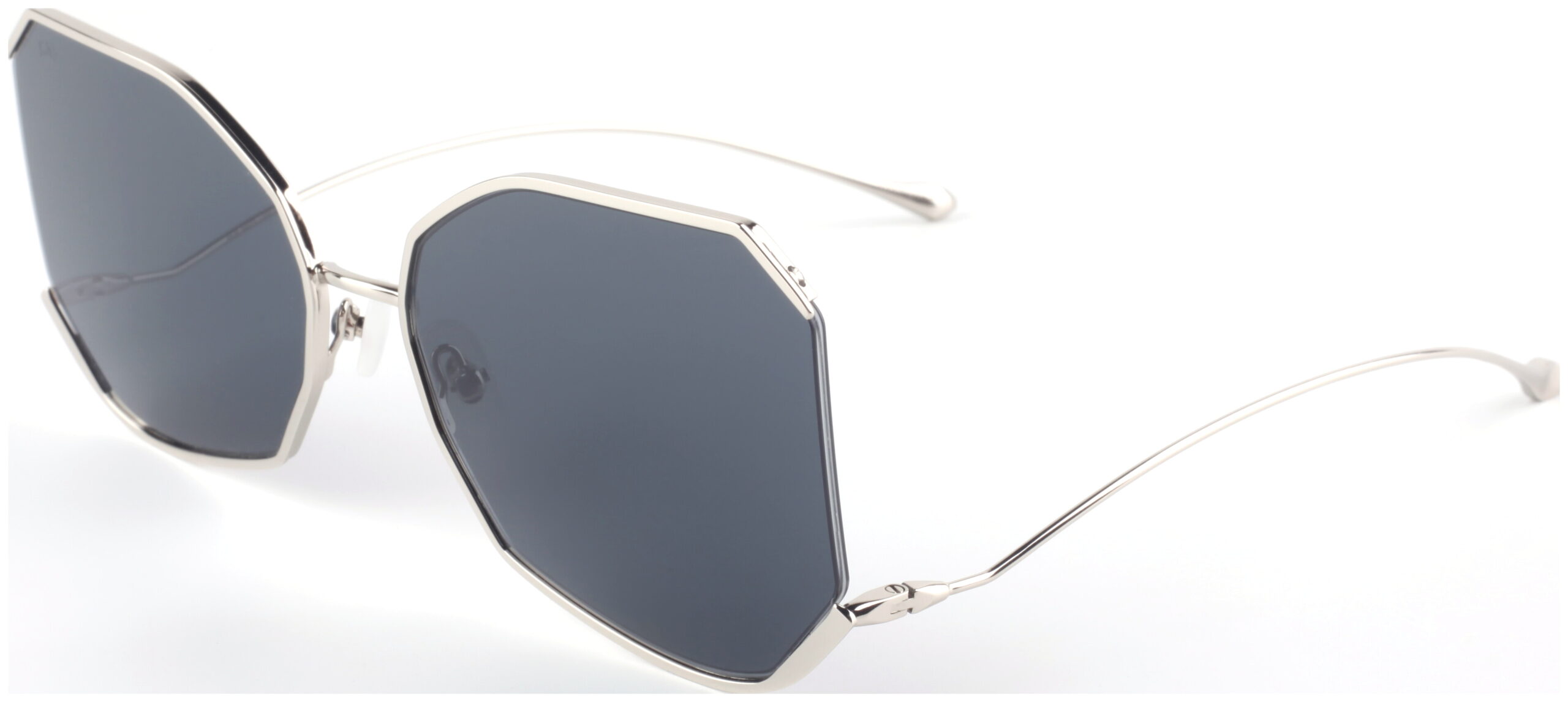 FASPAINTER SUNČANE NAOČALE FOR ART'S SAKE - Slika 2