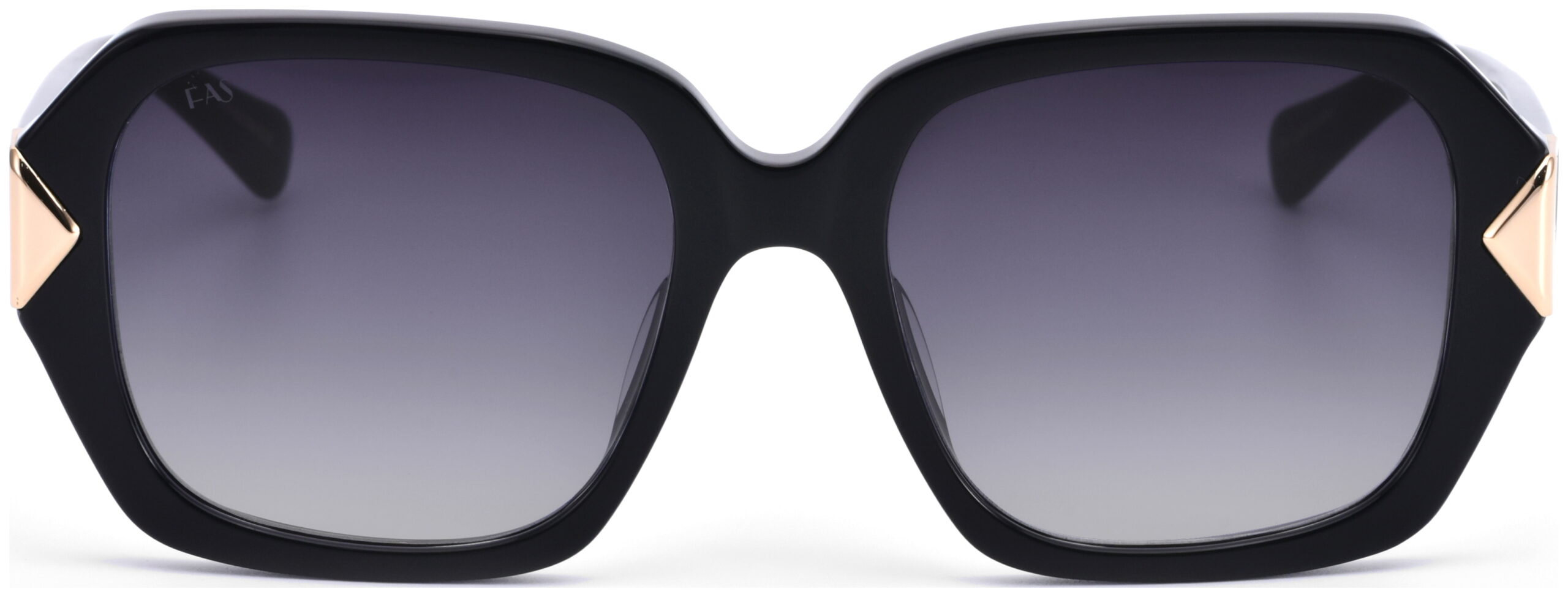 FAS GRADIJENT SUNČANE NAOČALE FOR ART'S SAKE