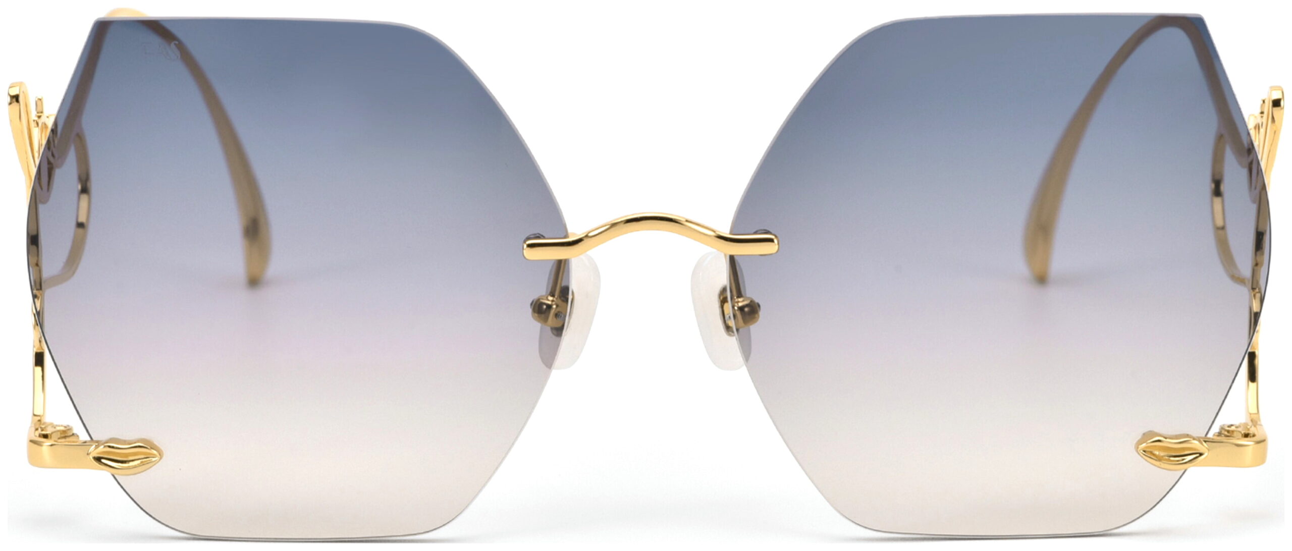 FAS GRADIJENT SUNČANE NAOČALE FOR ART'S SAKE