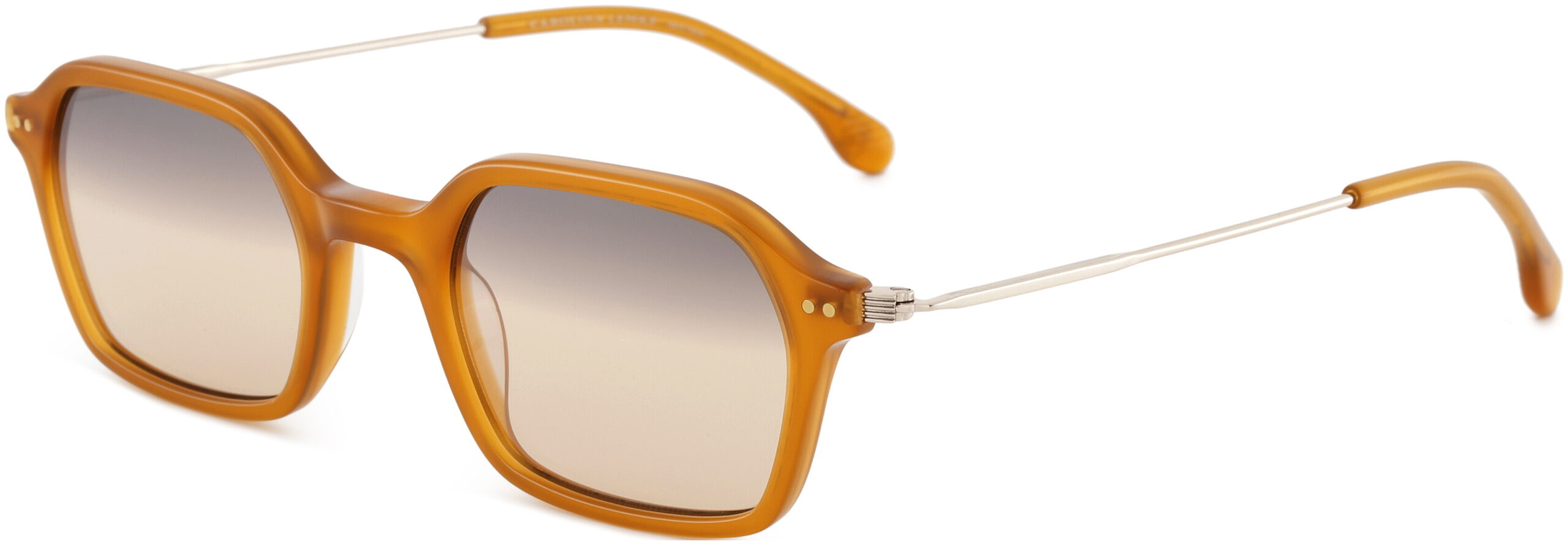 CRL9587 GRADIJENT SUNČANE NAOČALE CAROLINA LEMKE - Slika 2