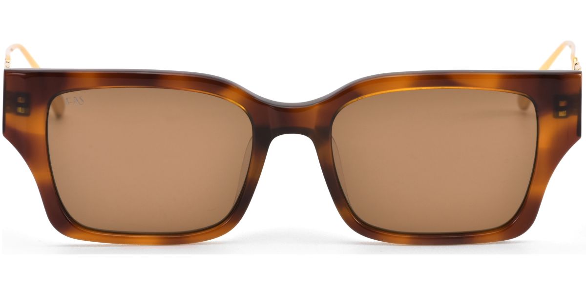 FAS INCOMPLETE TORTOISE SF047TT SUNČANE NAOČALE FOR ART'S SAKE